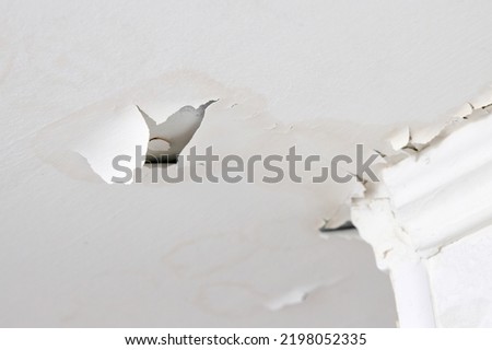 Swelling leaking of whitewash and plaster on ceiling of dwelling due to penetration of water from the top floor or roof, selective focus closeup. Royalty-Free Stock Photo #2198052335