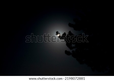 The sun on a black background