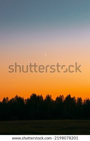 Sunset And Moon Rising Above Forest. Dramatic Sunset Background. Crescent Above Trees. Night Coming. Bright Blue And Orange Colors. Vertical Photo.