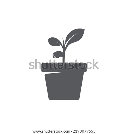 Plant icon design. Seed Sign symbol design. Seedling vector silhouette. leaf icon design. Vector illustration