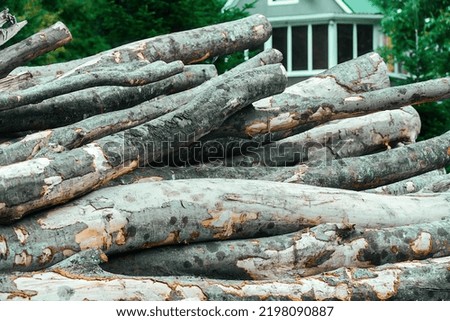 preparation of firewood for the heating season, environmentally friendly raw materials for heating the premises from tree logs