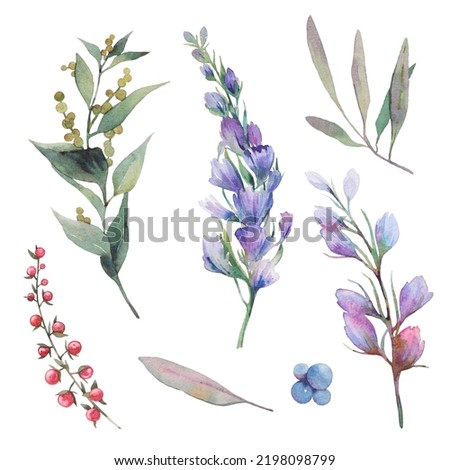 Hand painted floral elements set. Watercolor botanical illustration of tulip, peony, rose flowers and leaves. Natural objects isolated on white background
