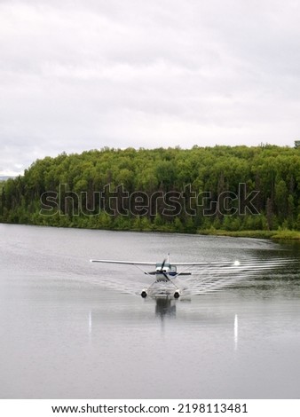 Vertical picture of a bush plane floating in a lake near Talkeetna, Alaska