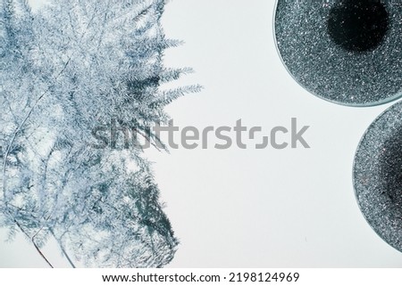 Dried wild leaf and flower on white table background.