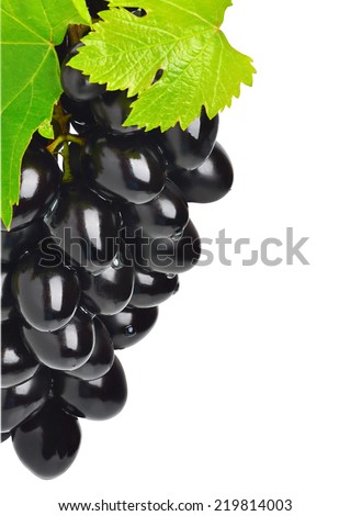 Sweet ripe grape isolated on the white background