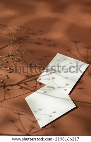 two blank white card mockups on brown background with dry autumn flowers shadows