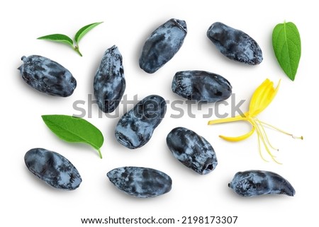 Fresh honeysuckle blue berry isolated on white background with full depth of field. Top view. Flat lay. Royalty-Free Stock Photo #2198173307