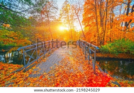 Autumn nature landscape. Lake bridge in fall forest. Path way in gold woods. Romantic view image scene. Magic misty sunset pond. Red color tree leaf park. Calm bright light, city sunrise, sunlight sun Royalty-Free Stock Photo #2198245029