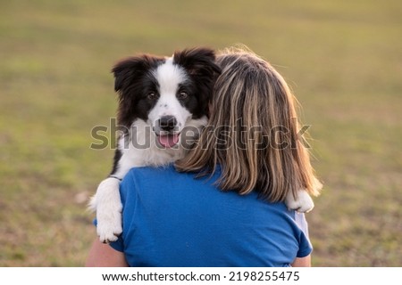 Back of woman holding Border Collie dog in the park during golden hour