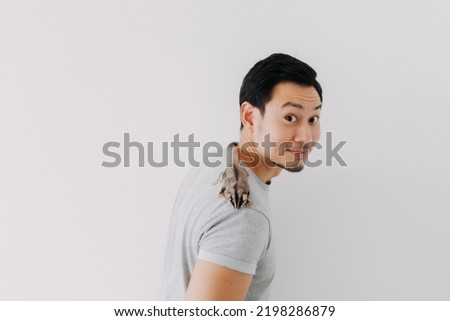 Cute little sugar glider pet hold on the asian man owner isolated on white.