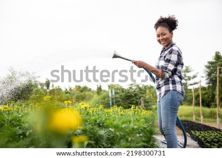 African woman gardener in gray shirts using hose in ornamental plant. Green stems grow out of the ground. Shapeless flowing green floral background. Care for the garden, agriculture.