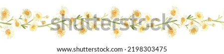 Chamomile seamless border. Watercolor illustration. Isolated on a white background. For design of adhesive tapes, ribbons, banners for websites, the edge of a notebook or fabric, and so on.
