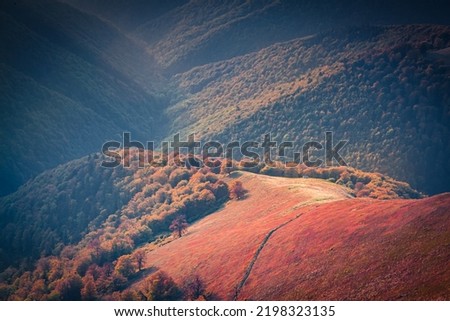 Long focus picture of Carpathian canyon, Ukraine, Europe. Astonishing autumn view of Borzhava ridge with old wooden chalet. Beauty of nature concept background.