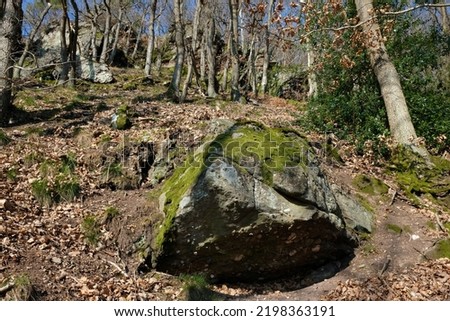 in the forest is a colored sandstone rock with foliage