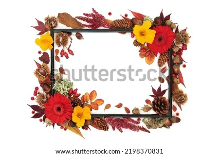 Symbols of Autumn season abstract background frame. Nature concept with leavers, flowers, nuts, berry fruit. Thanksgiving Fall composition with natural flora. Black frame on white.