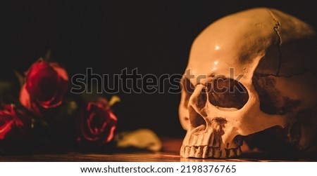 Banner background of human skull. The art photo of anatomy model human skull with rose and flowers for artwork concept.