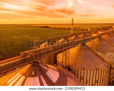 Grain elevator. Metal grain elevator in agricultural zone. Agriculture storage for harvest. Grain silos on green nature background. Exterior of agricultural factory. Sunset warm light. Nobody. Royalty-Free Stock Photo #2198389413