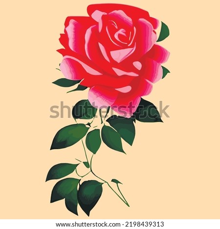 Decorative vintage rose and bud. Vector set of blooming flowers for your design. Decoration for wedding invitations and greeting cards. Antique rose on a pastel background minimalism