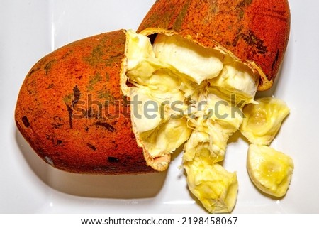 Ripe cupuaçu fruit (Theobroma grandiflorum) opened showing the seeds and the husk of the fruit. Amazonian tropical Brazilian fruit in fine details Royalty-Free Stock Photo #2198458067