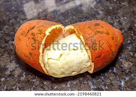 Isolated Ripe cupuaçu fruit (Theobroma grandiflorum) opened showing the seeds and the husk of the fruit.  Royalty-Free Stock Photo #2198460821