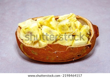 Ripe cupuaçu fruit in portrait (Theobroma grandiflorum) opened showing the seeds and the husk of the fruit.  Royalty-Free Stock Photo #2198464157