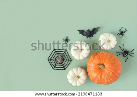Halloween background with black bats, spiders, orange pumpkins. Modern Holiday design. Halloween party border on olive green colour. Flat lay, top view, copy space. Thanksgiving fall decoration. 2022