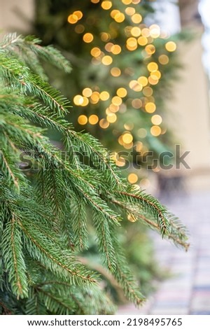 Green fir tree branch with garland lights bokeh. Outdoor, street decorations for holiday. Christmas background. Xmas and New Year concept.