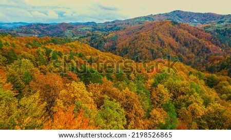 AERIAL: Gorgeous colour palette of trees in forested countryside in fall season. Stunning high angle view of woodland area in colorful autumn shades. Changing leaves of deciduous trees in fall season. Royalty-Free Stock Photo #2198526865