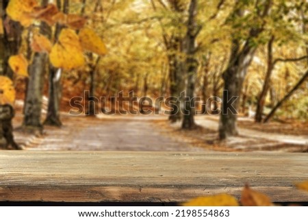 Desk of free space and autumn landscape of garden. 