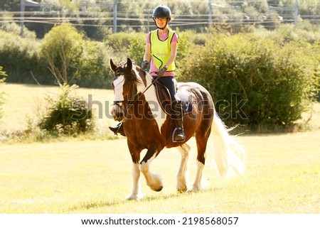 An angled head-on picture of a woman riding an Irish Cob horse in a grassy field. In the background are trees, bushes and railway electrical wires.