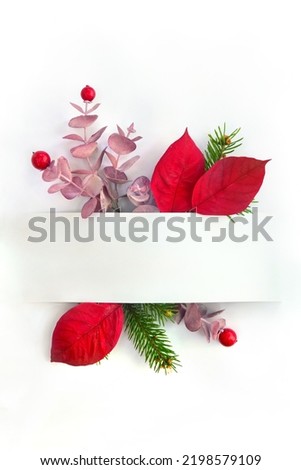 Christmas decoration. Flower of red poinsettia, branch christmas tree, red berries and white paper card with space for text on white background. Top view, flat lay Royalty-Free Stock Photo #2198579109