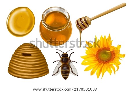 Watercolor set. Honey, bees, wild flowers, honey spoon, honey jars. illustration of honey collection