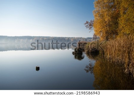 Autumn forest with colorful leaves on the lake with reflection in the water. Selective focus.