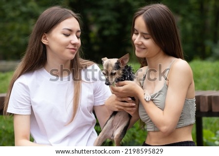 teen girls play with a small dog in the park, happy pet, animal walking, owner with a puppy for a walk