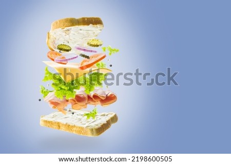 Creative composition. Classic American sandwich on a light blue background in frozen flight. Minimalism. There are no people in the photo. There is free space to insert.