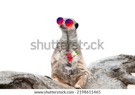 always happy meerkat in sunglasses and a cocktail in his paw