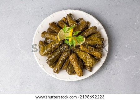 Delicious dolma (sarma) stuffed grape leaves rice. Lebanese dolma sarma on plate. Lebanon turkish greek middle eastern cuisine. (Turkish name; Yaprak sarma)