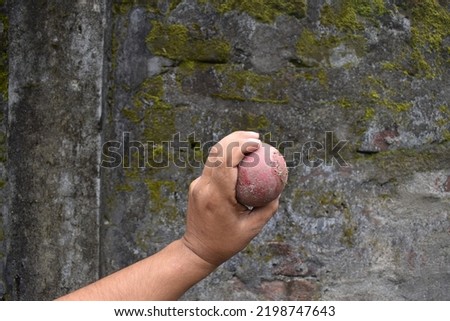 a man hand holding a cricket ball. Concept sport.