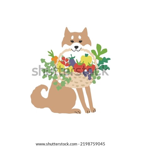Japanese dog, Shiba Inu, basket with vegetables and fruits, Hand drawn vector illustration.