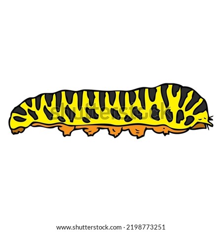 Caterpillar vector illustration,
isolated on white background.top view