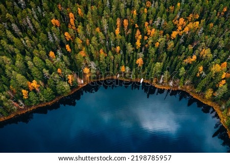 Aerial view of fall colour forest and blue lake in Finland. Beautiful autumn landscape.