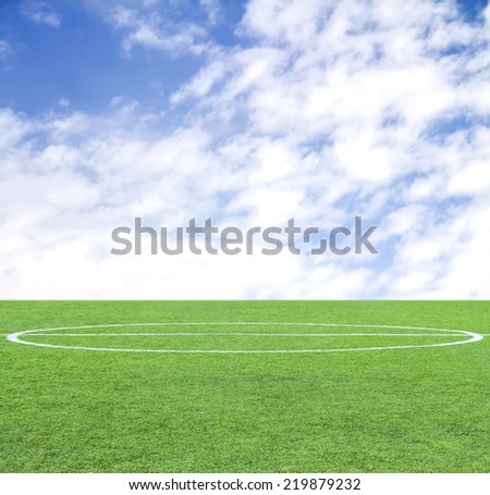 Soccer green grass field at the background of the sky