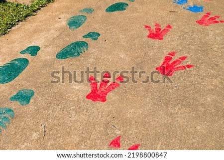 Colourful Animals footprint painted on street.
