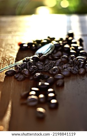 pictures of coffee beans in the afternoon