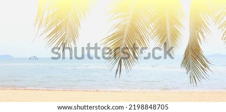 The banner of Summer colorful theme with palm trees background as texture frame image background    