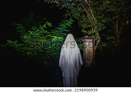 scary ghost in cemetery at night Halloween background