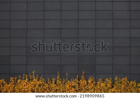 Symmetrical wall with gold  autumn plant detail. Image suitable for background