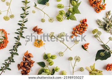 Autumn season colourful leaves and plants flat lay composition. Seasonal vertical pattern background. Colours of the fall. 