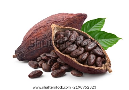Cocoa beans with cocoa pod isolated on white background. Clipping path. Royalty-Free Stock Photo #2198952323