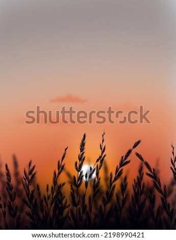 Harvest Sunset landscape with gradient sky